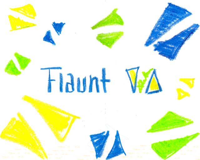 Flauntvida Splash Intro Page